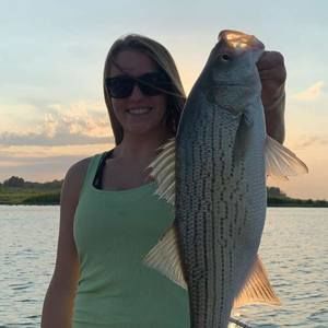 Meet your Posher, Mariel